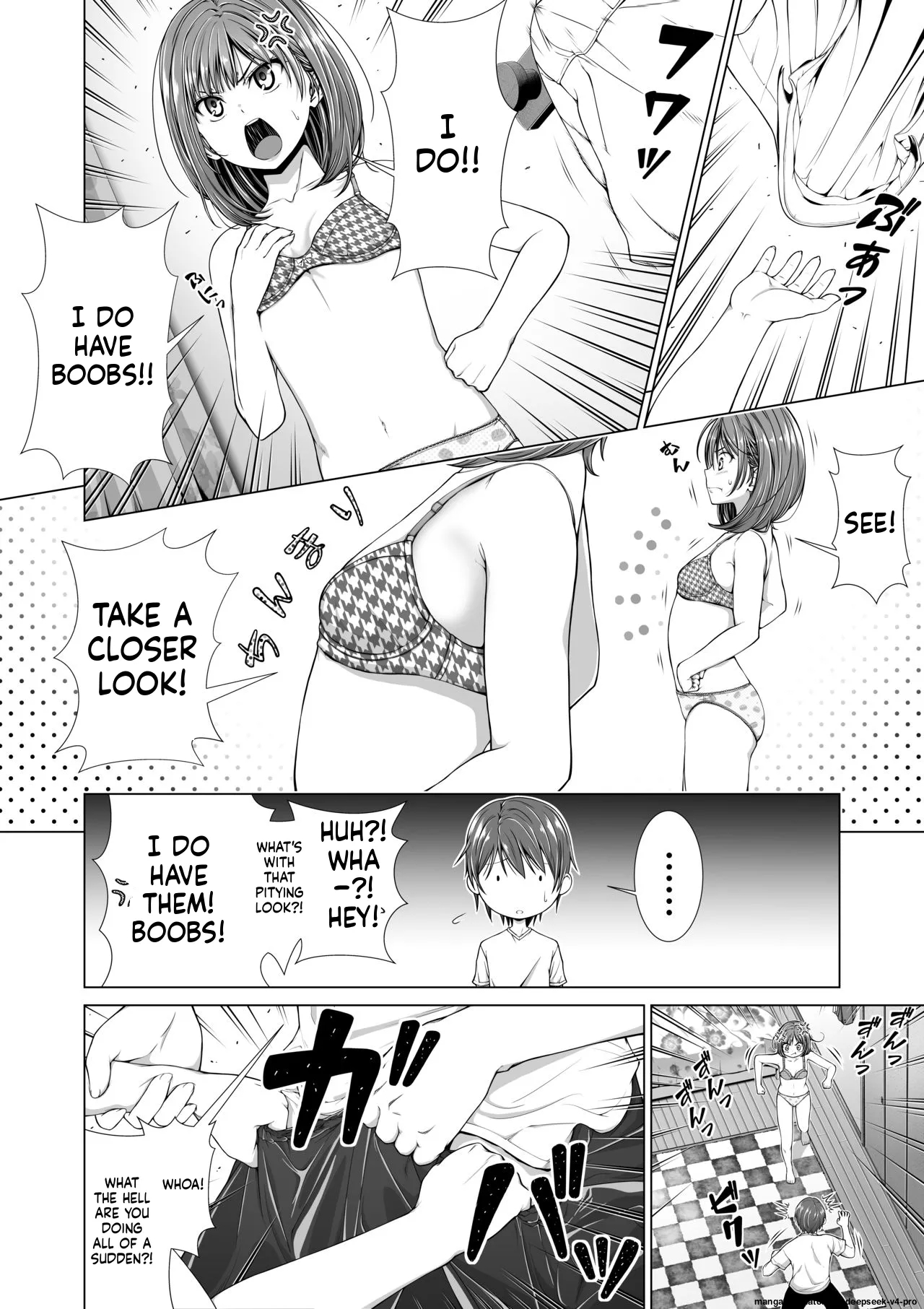 Houkei O Baka Ni Shita Ane O Yatte Shimau Hanashi page 5