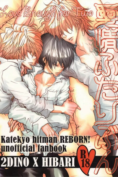 Katekyo Hitman Reborn! Dj – Aijou Futaribun page 1