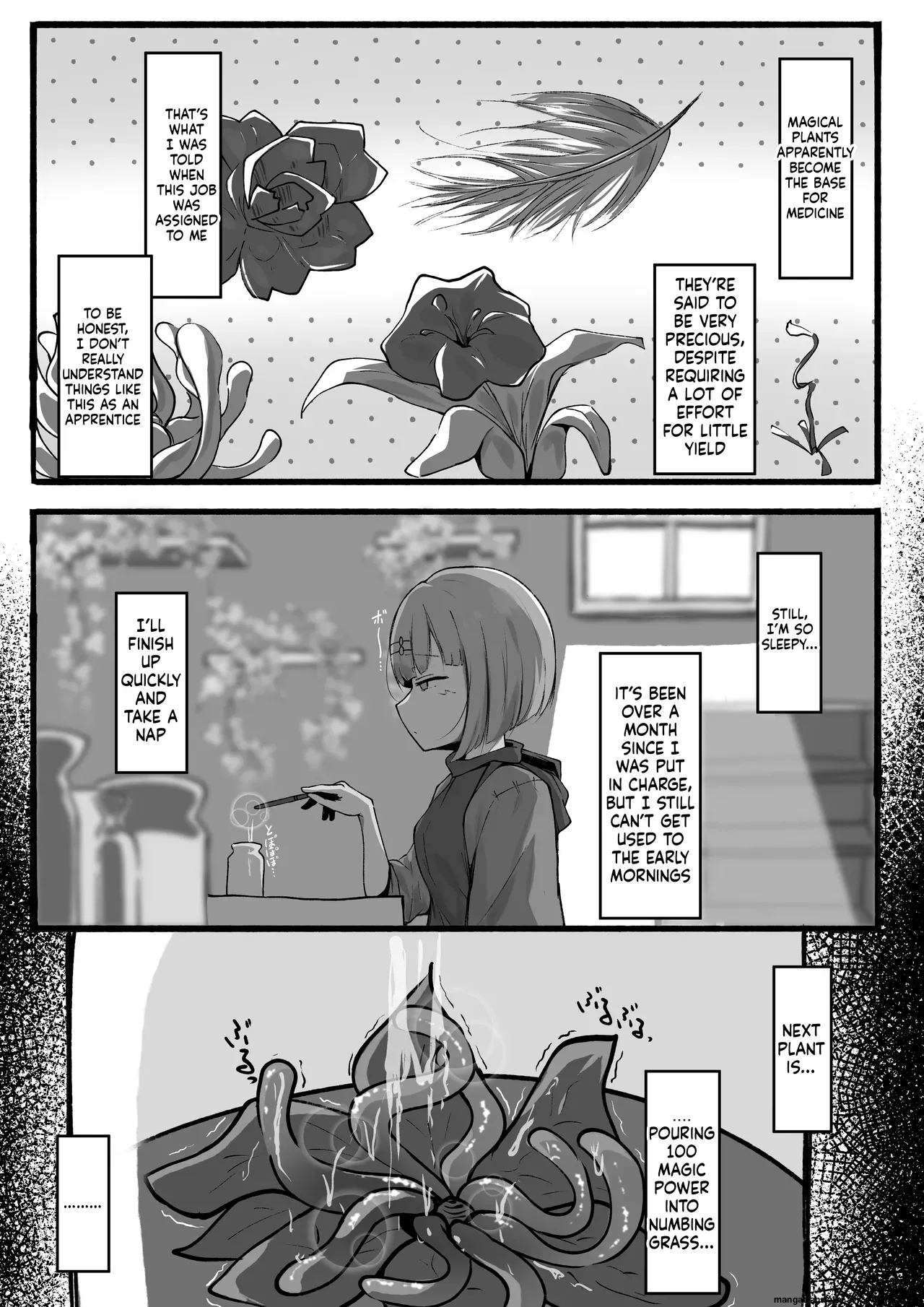 Minarai Mahoutsukai Ni Shokubutsu No Kanri Wa Muzukashii page 3