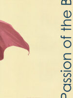Passion Of The B page 2