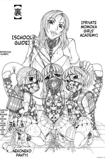Private Momoka Girls' Academy: Behind-the-scenes School Guide page 1