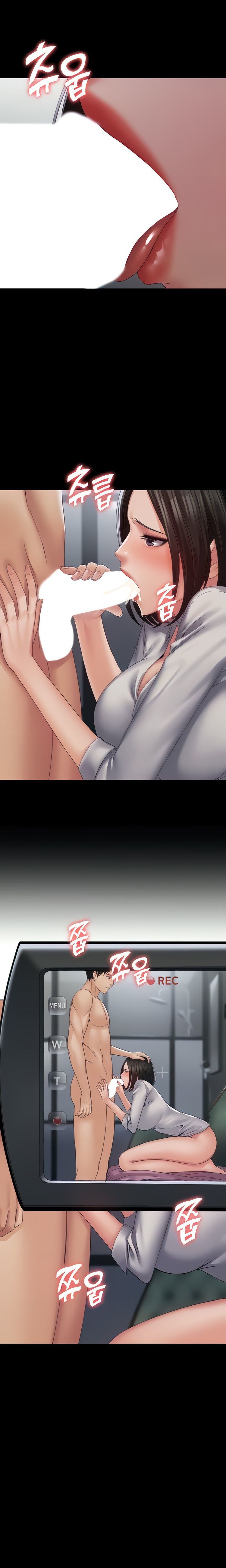 Succubus System page 346