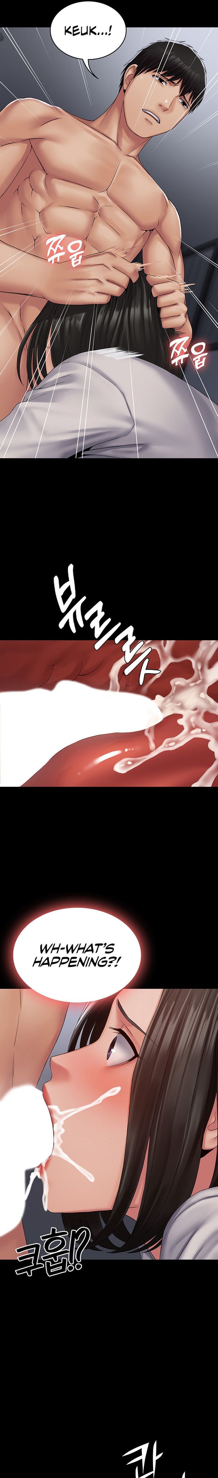 Succubus System page 350