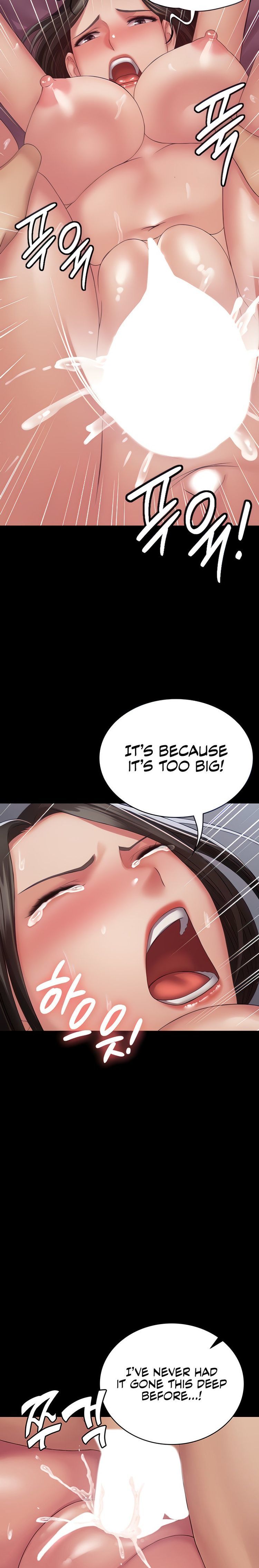 Succubus System page 371