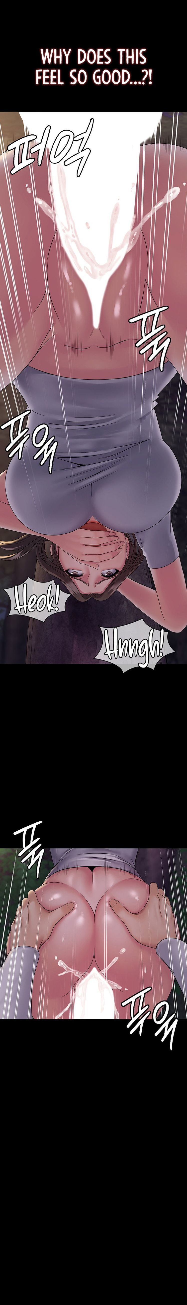 Succubus System page 454