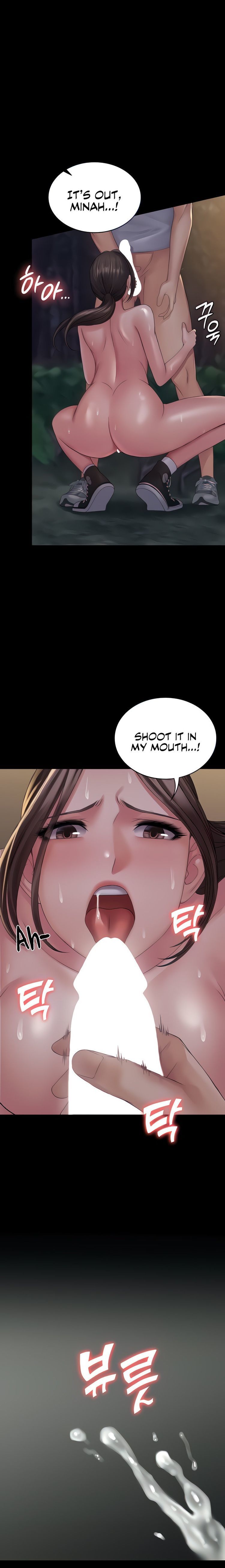 Succubus System page 472