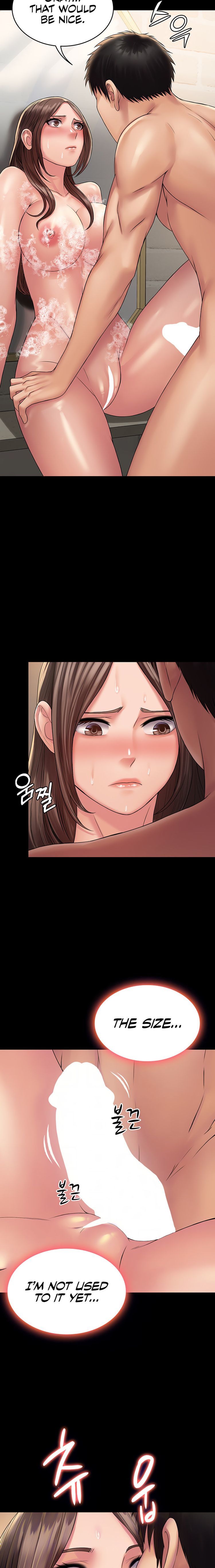 Succubus System page 493