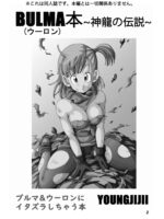 Bulma Hon ~shenlong No Densetsu~ page 3