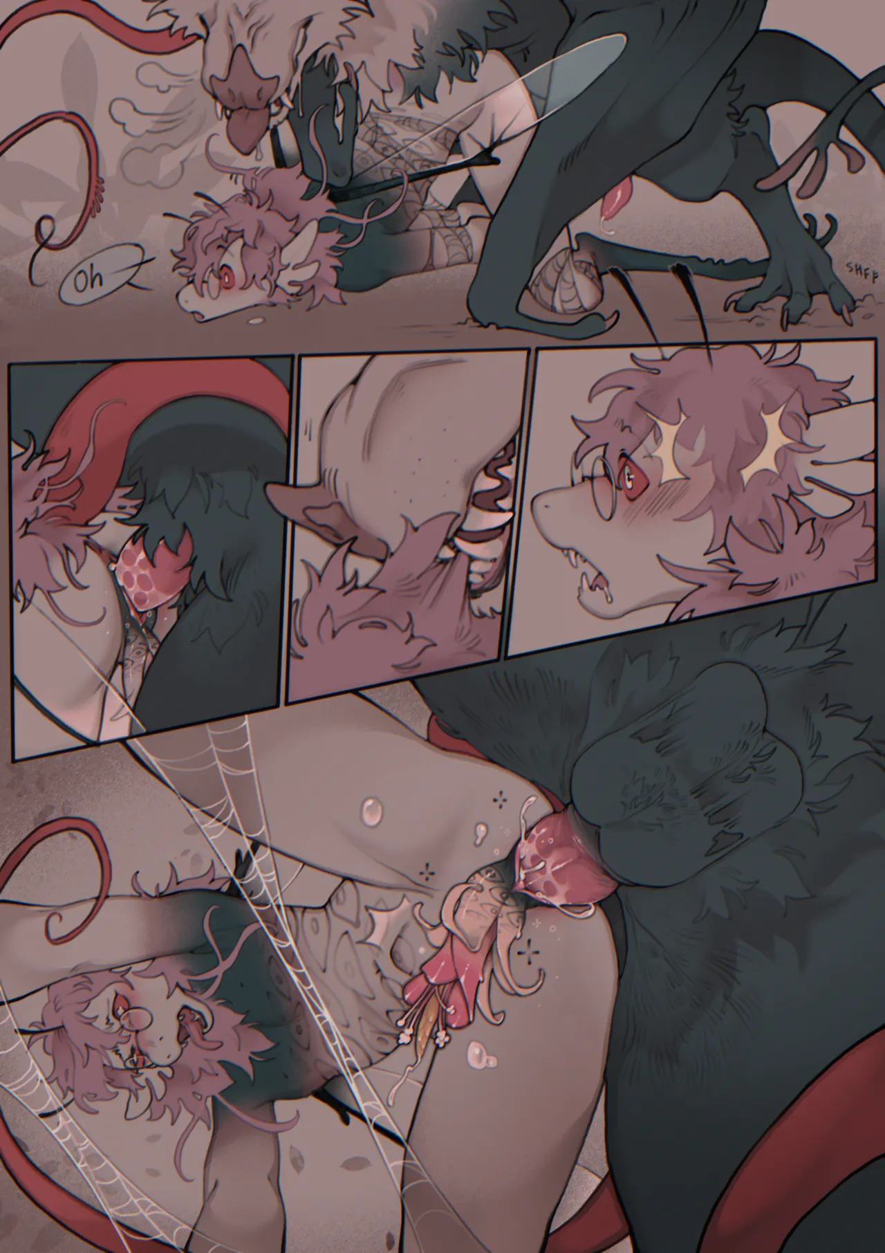 Chiropterophily page 16