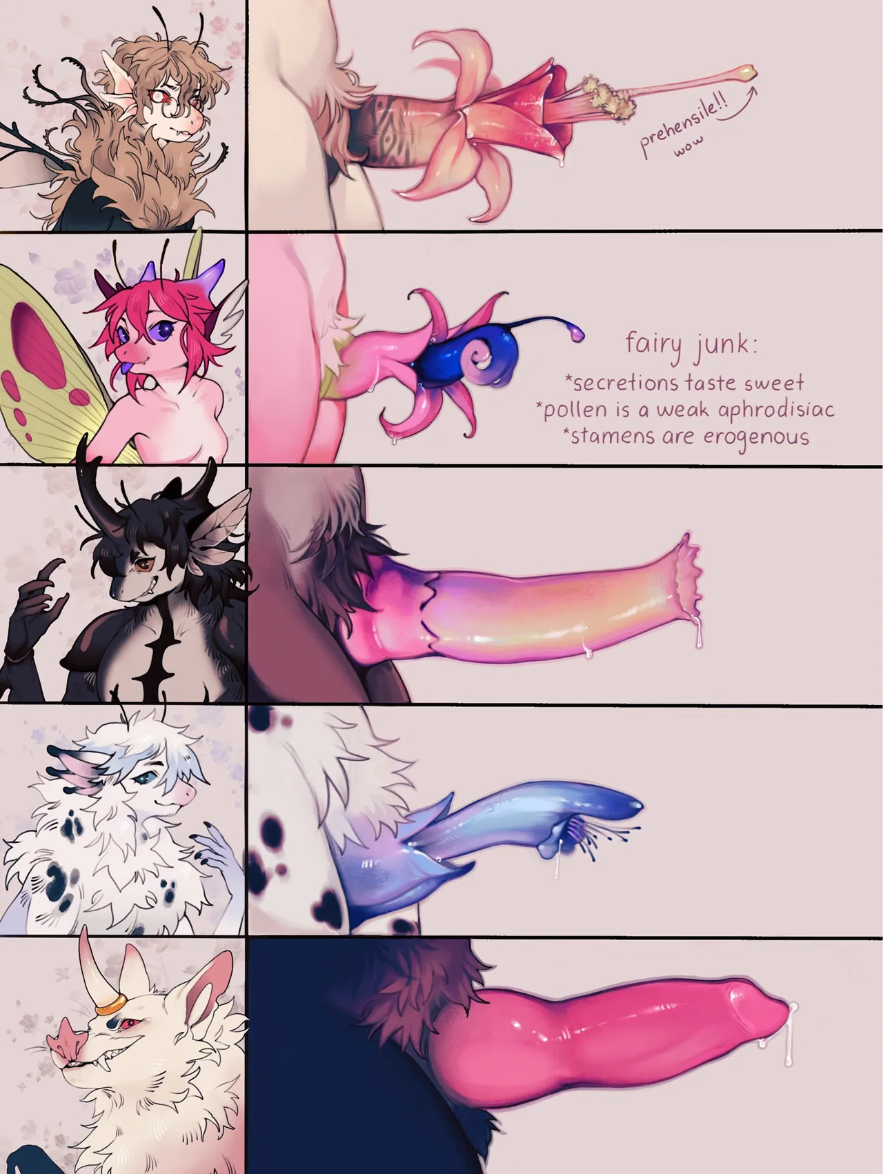 Chiropterophily page 26