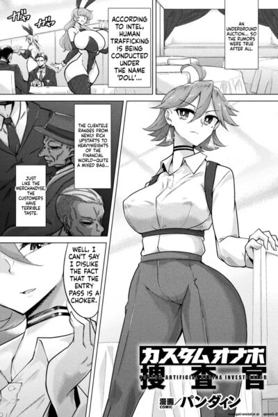 Custom Onahole Investigator - page 1
