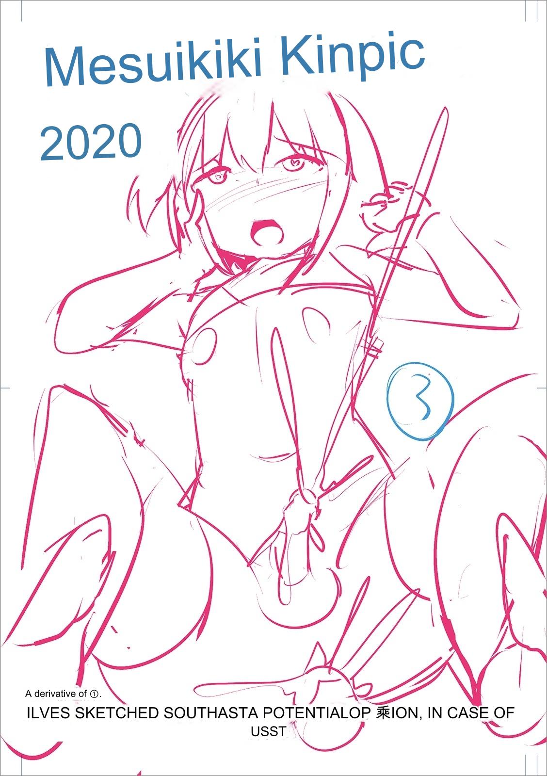 Mesuiki Ochin Pikku 2020 【fanza Special Edition】 page 214