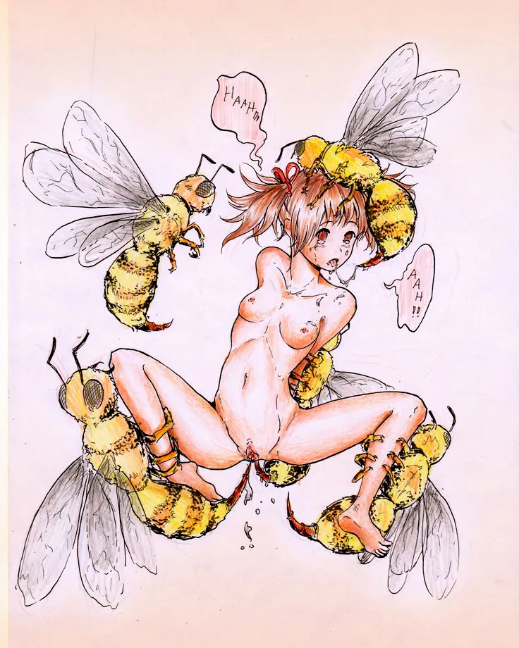Planet Of The Insect Picture Set page 16