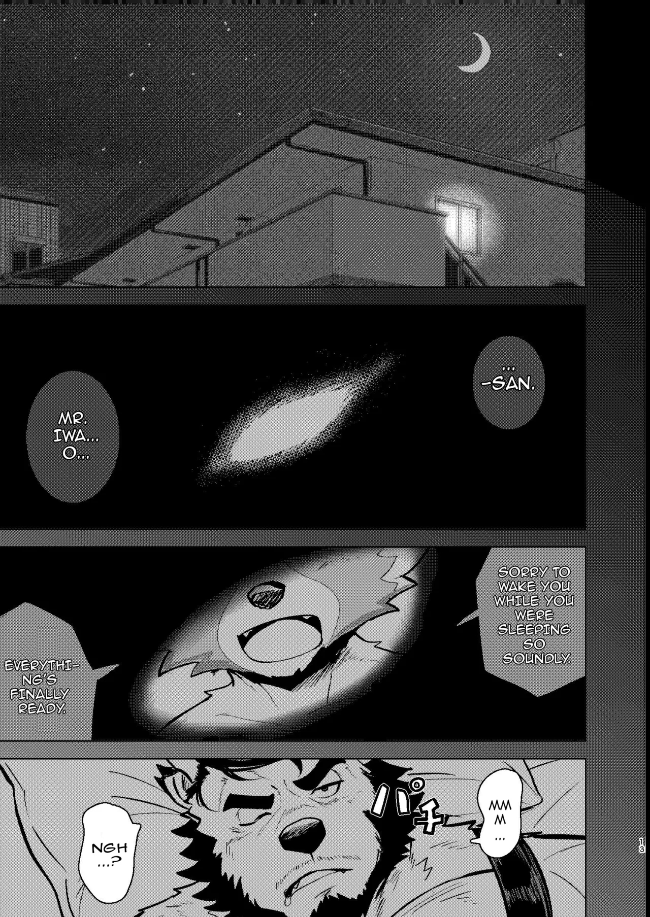 Rec Wild page 13