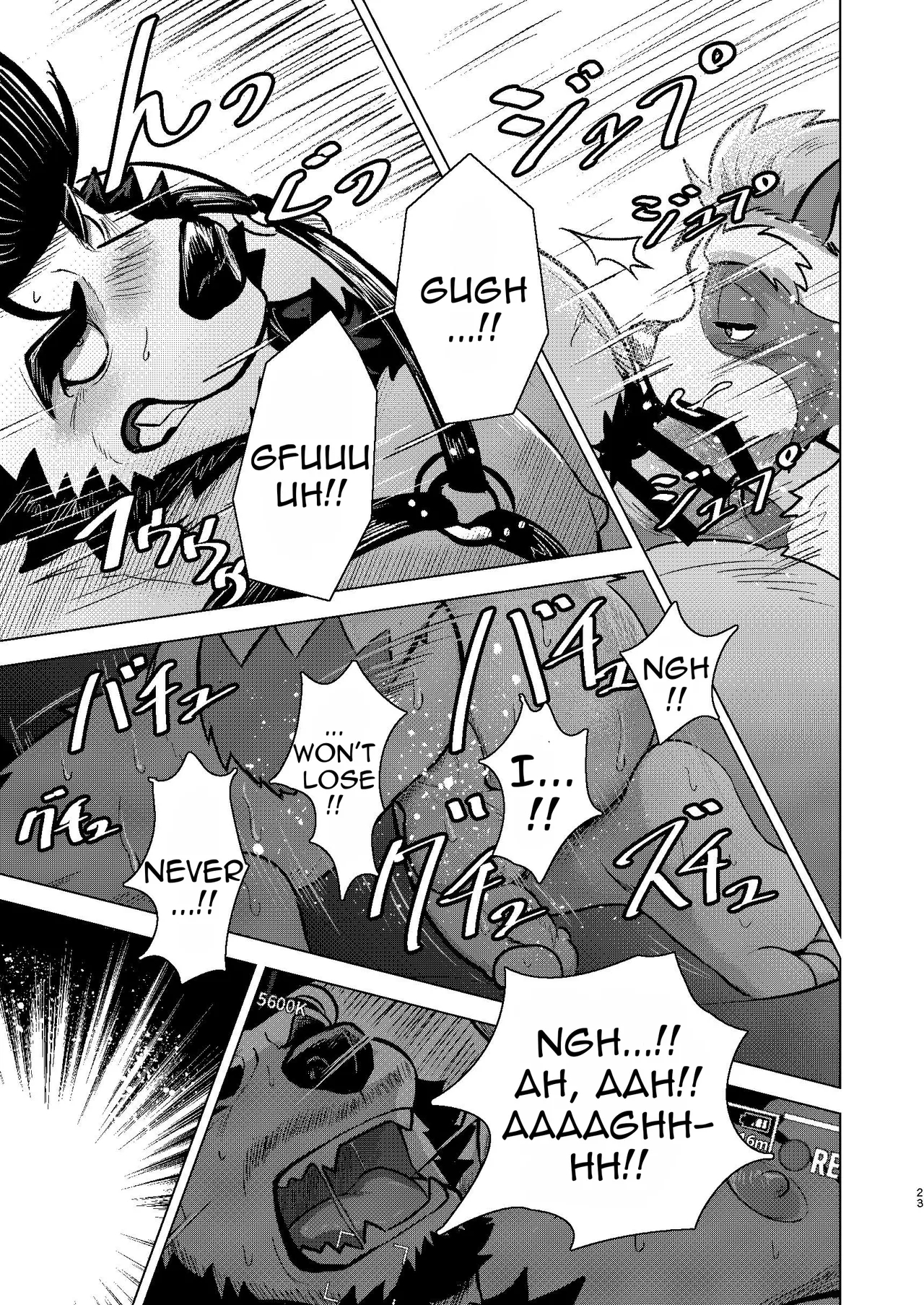 Rec Wild page 23