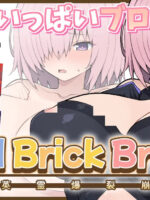 【完成版】fgoおっぱいブロック崩し page 1
