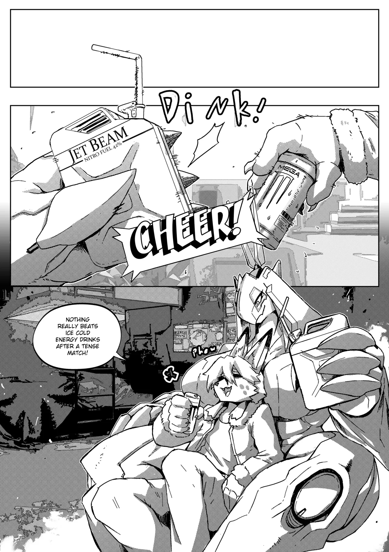 Remove Before Flight page 11