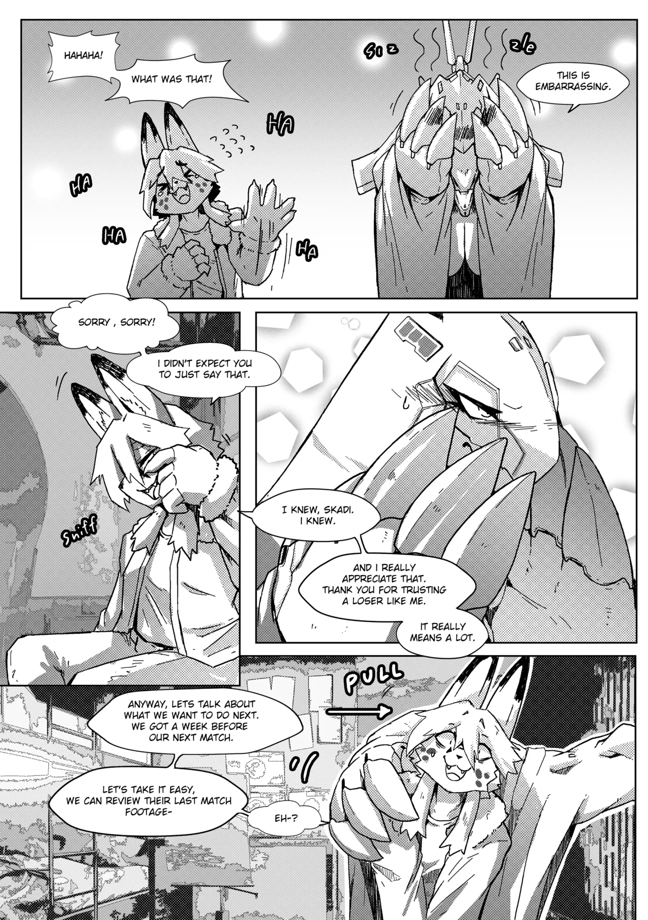 Remove Before Flight page 14