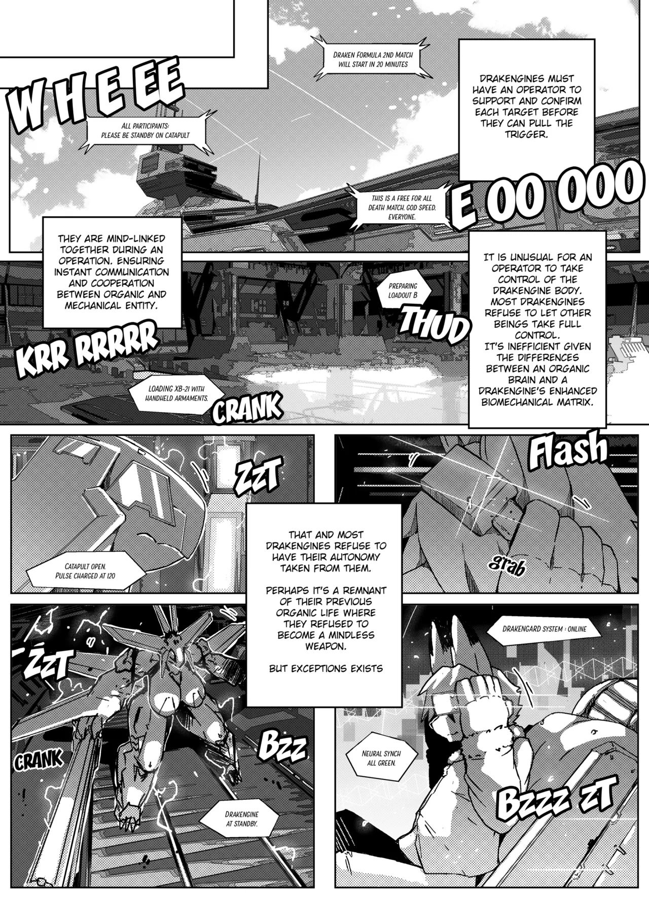 Remove Before Flight page 39