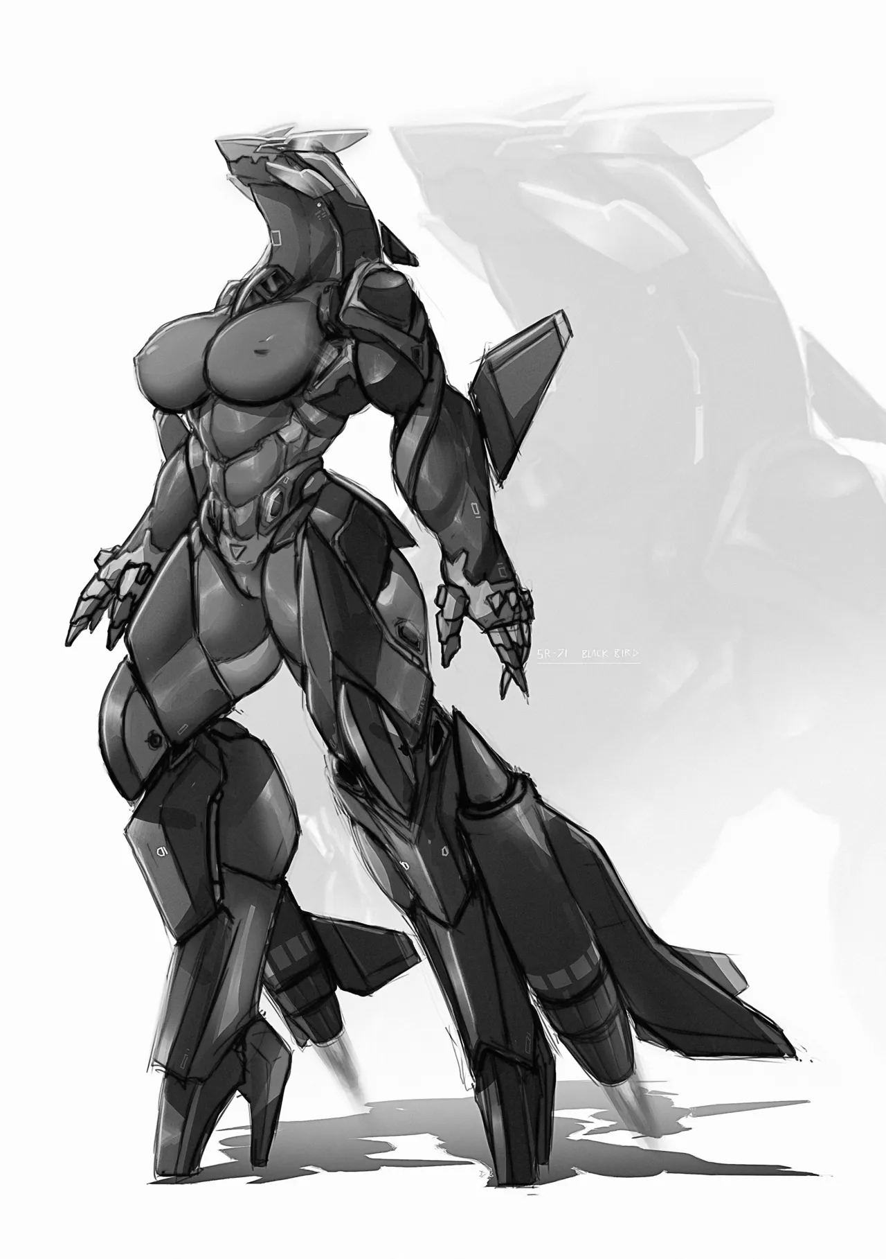 Remove Before Flight page 43