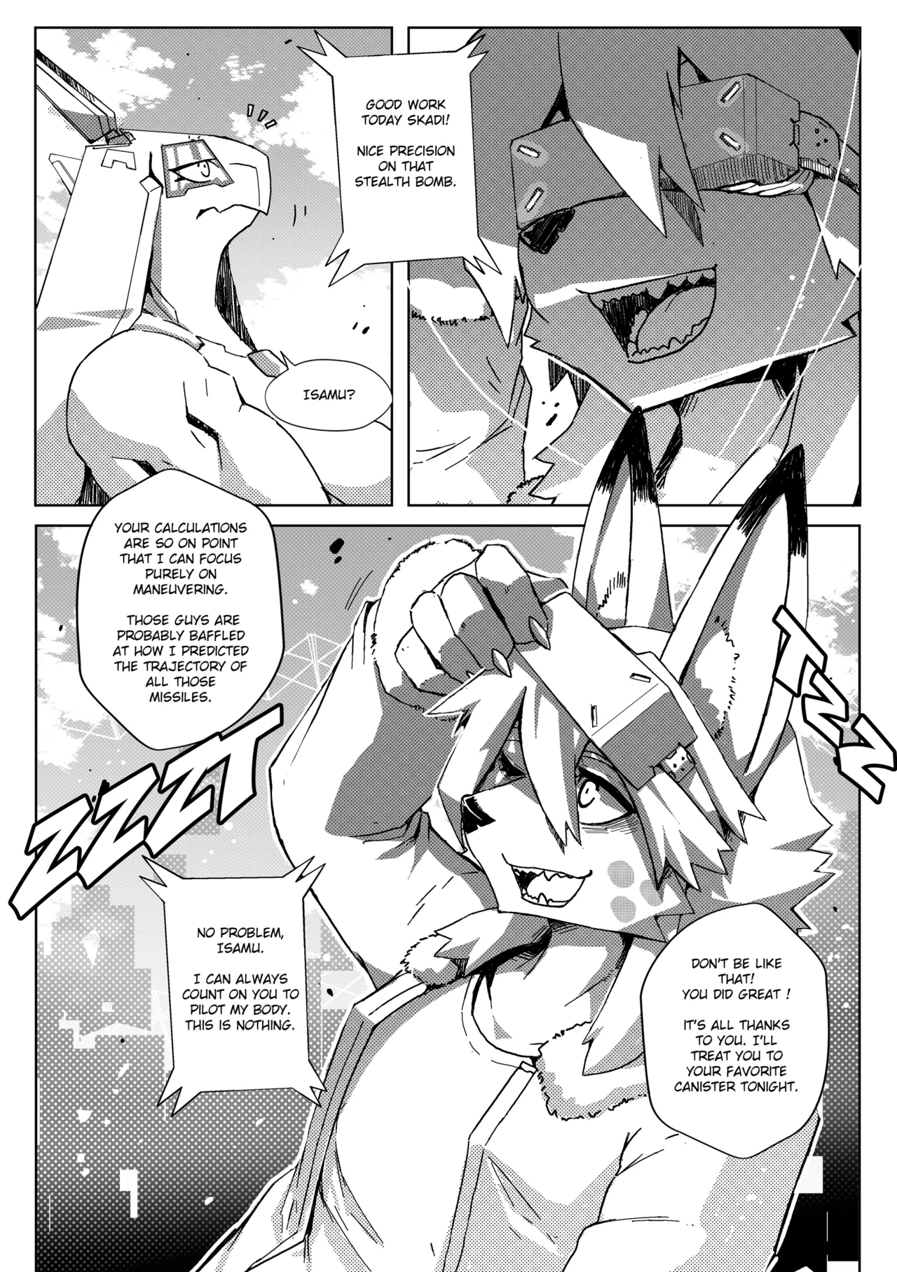Remove Before Flight page 8