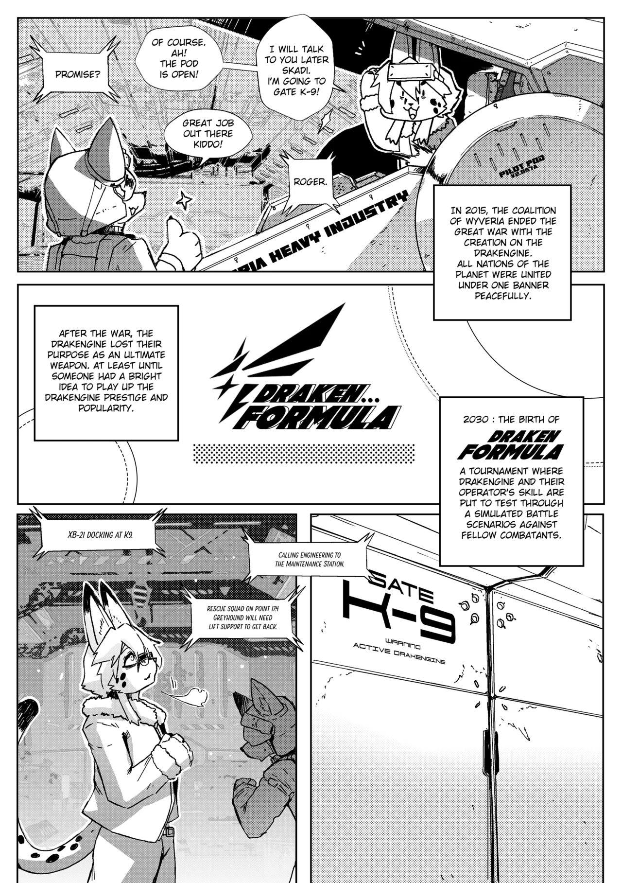 Remove Before Flight page 9