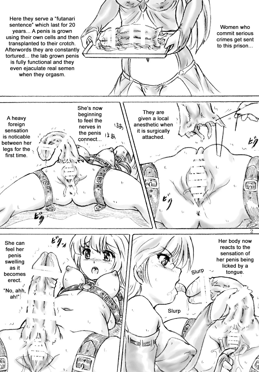 Futanari Sentence: Twenty Year Imprisonment page 2