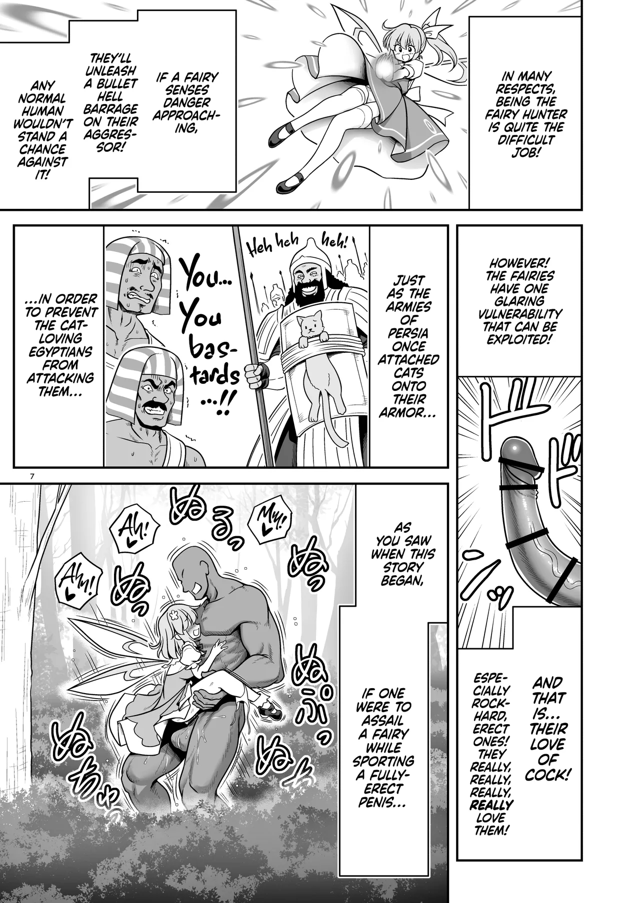 The Sex-incarnate Fairy & The Fairy Hunter Oji-san page 7