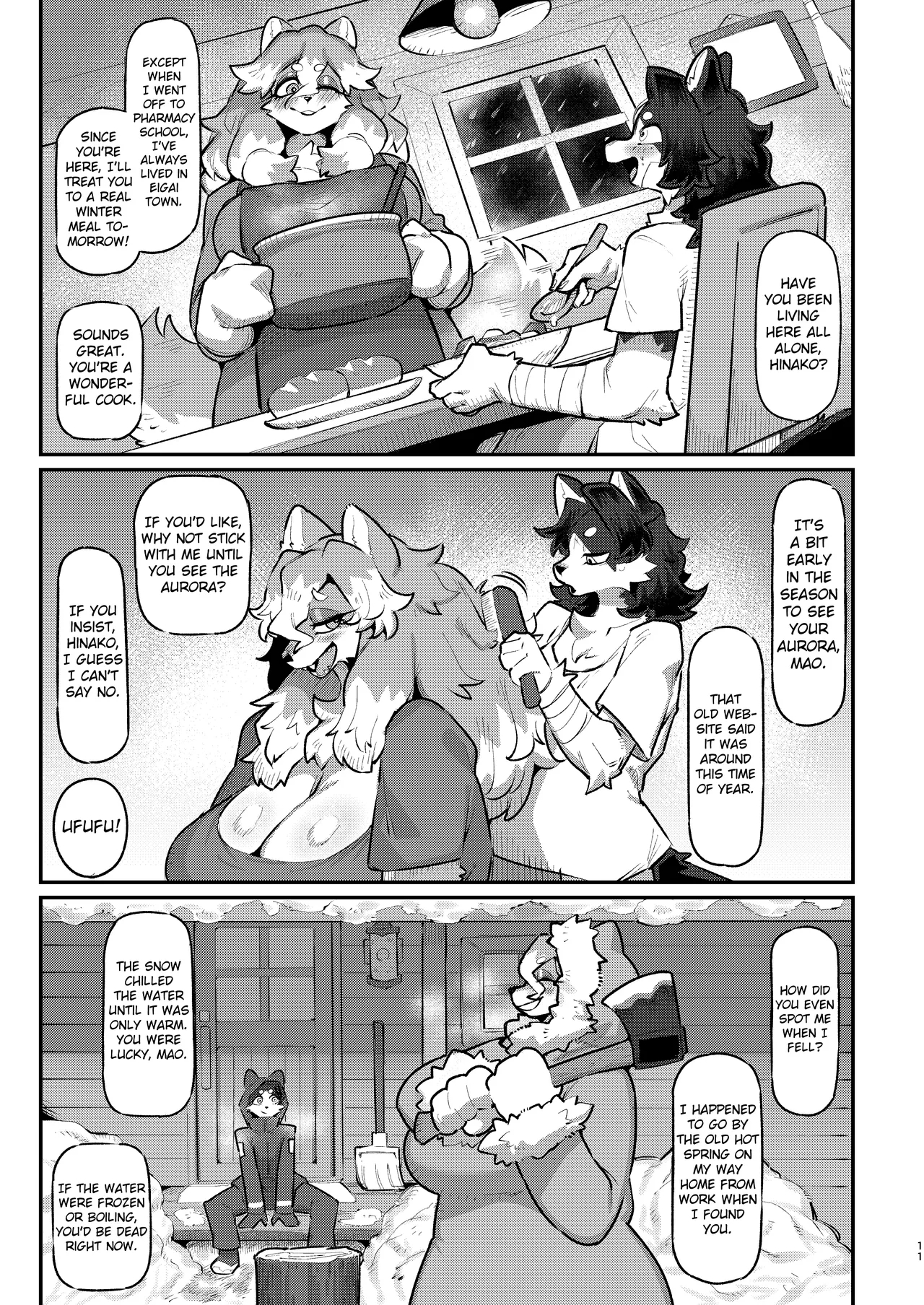 Snow Melting Beneath The Aurora-lit Sky page 10