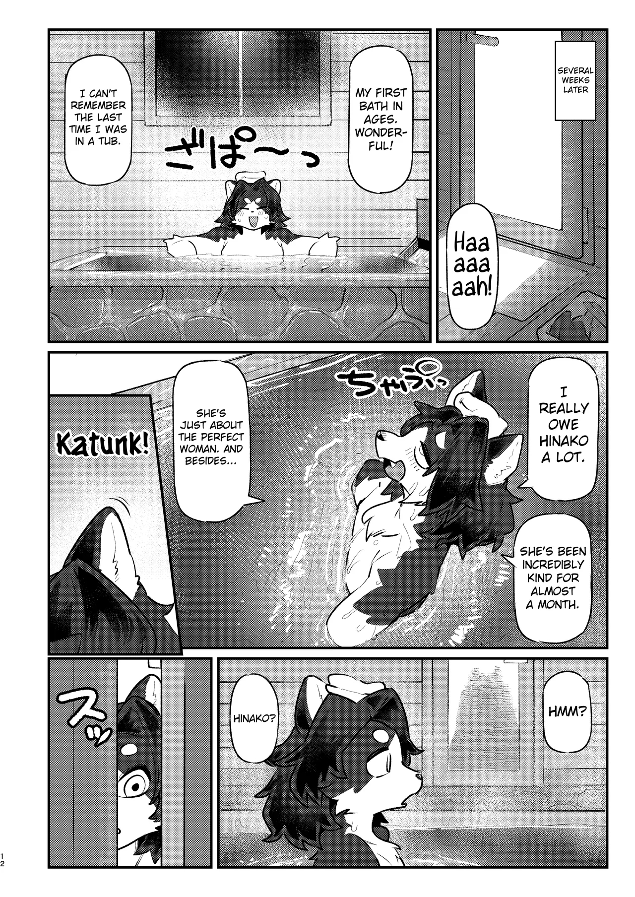 Snow Melting Beneath The Aurora-lit Sky page 11