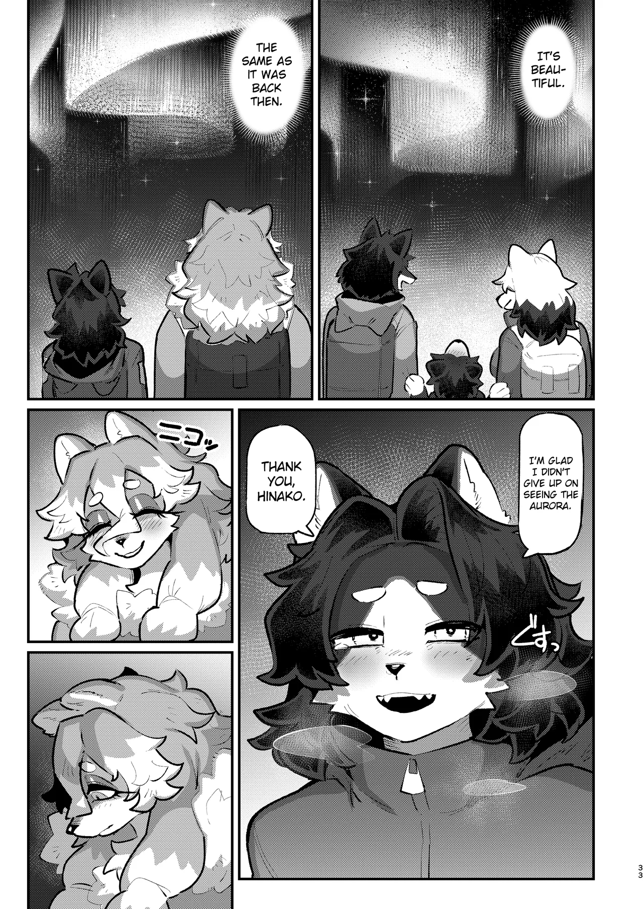 Snow Melting Beneath The Aurora-lit Sky page 32