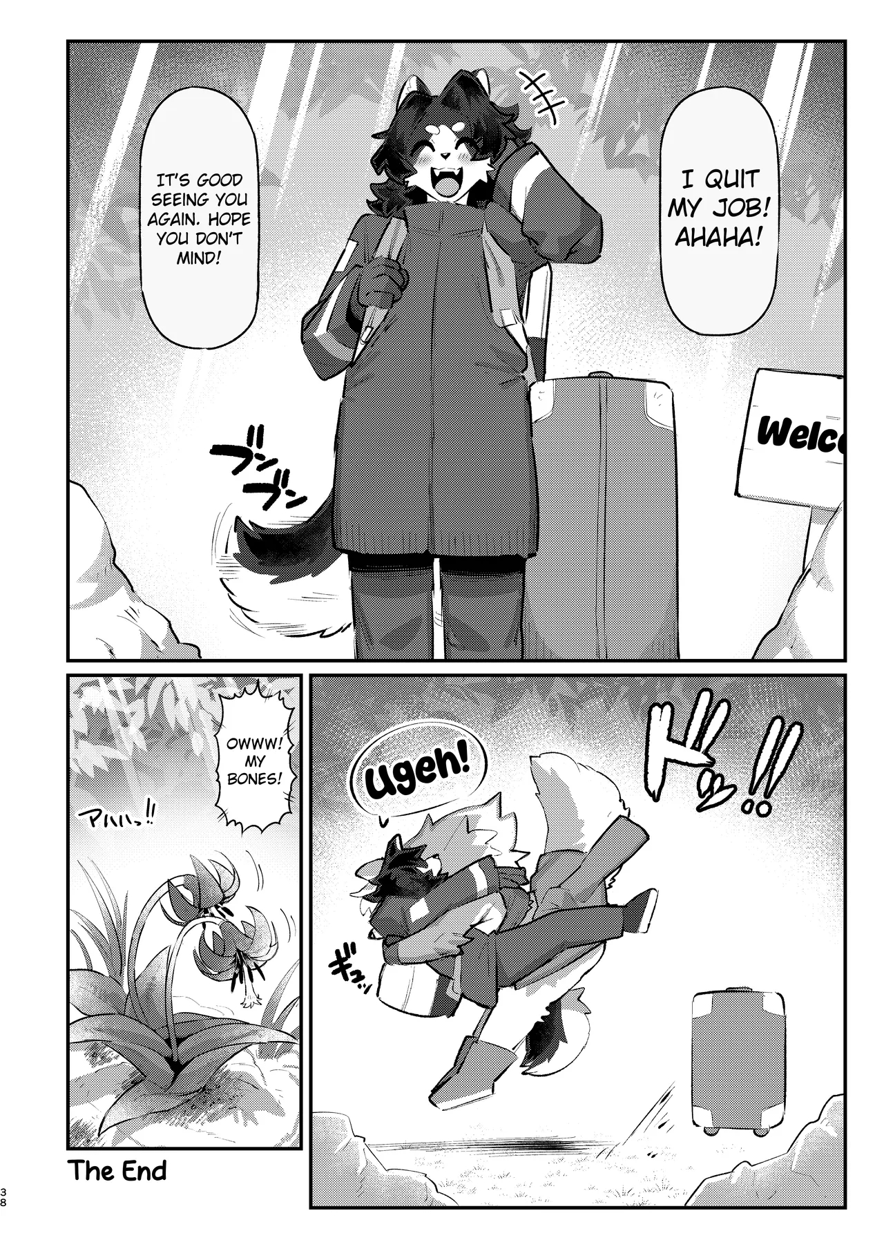 Snow Melting Beneath The Aurora-lit Sky page 37