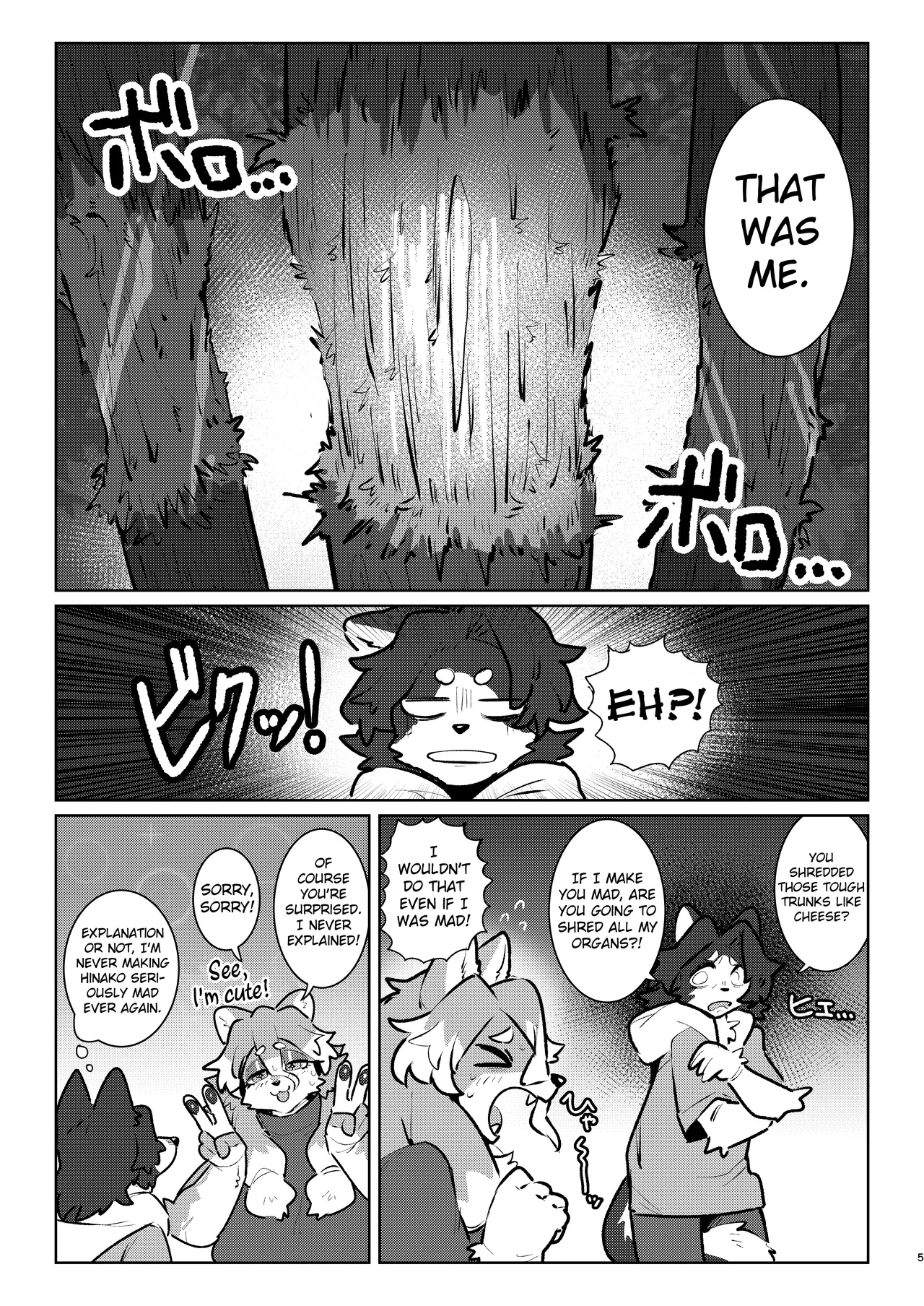 Snow Melting Beneath The Aurora-lit Sky page 41