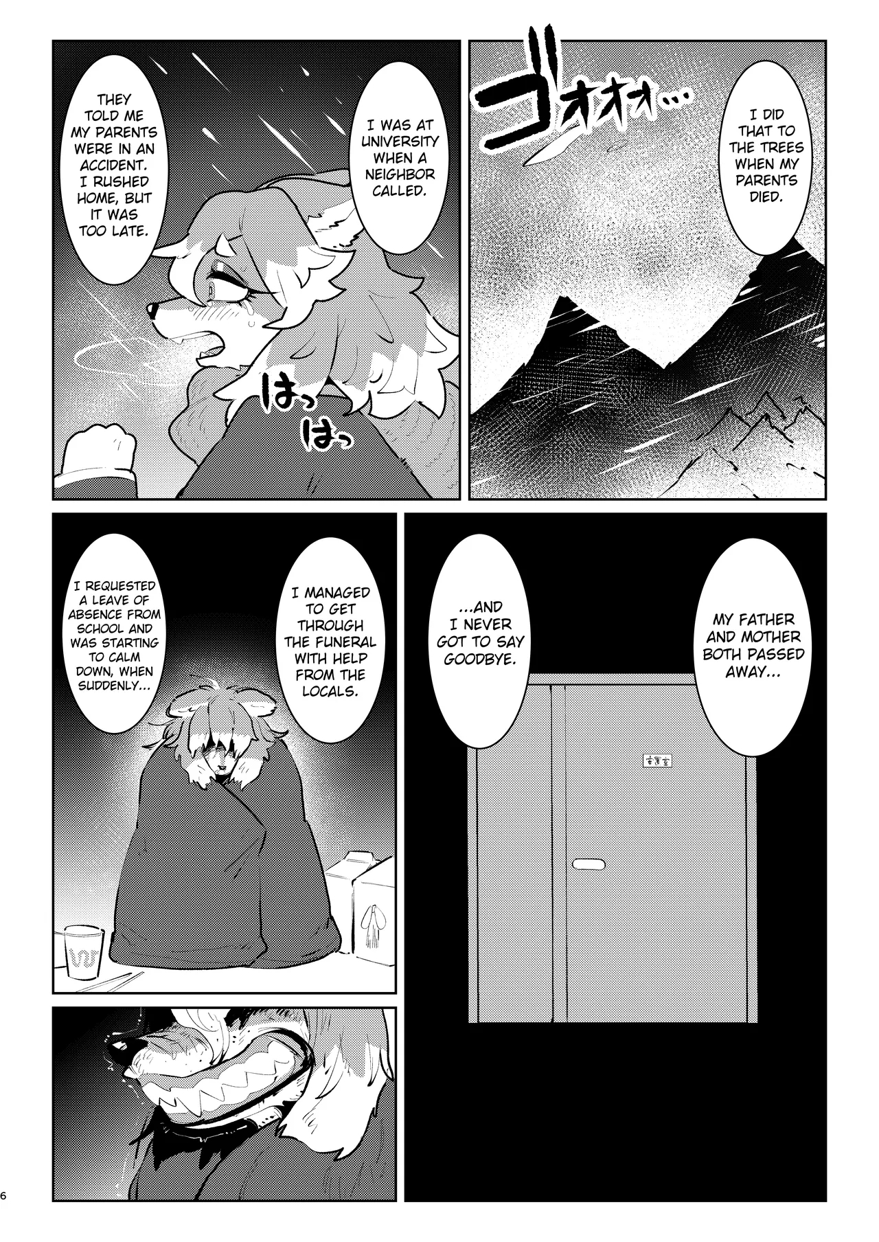 Snow Melting Beneath The Aurora-lit Sky page 42
