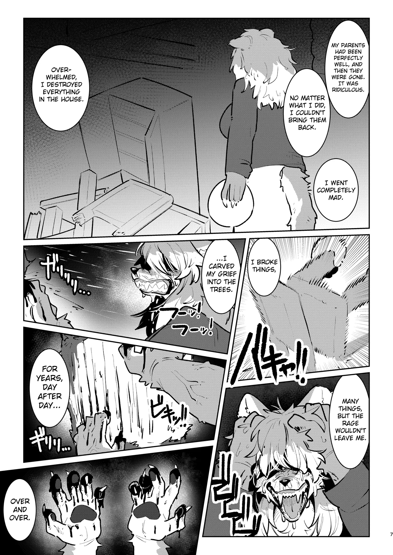 Snow Melting Beneath The Aurora-lit Sky page 43