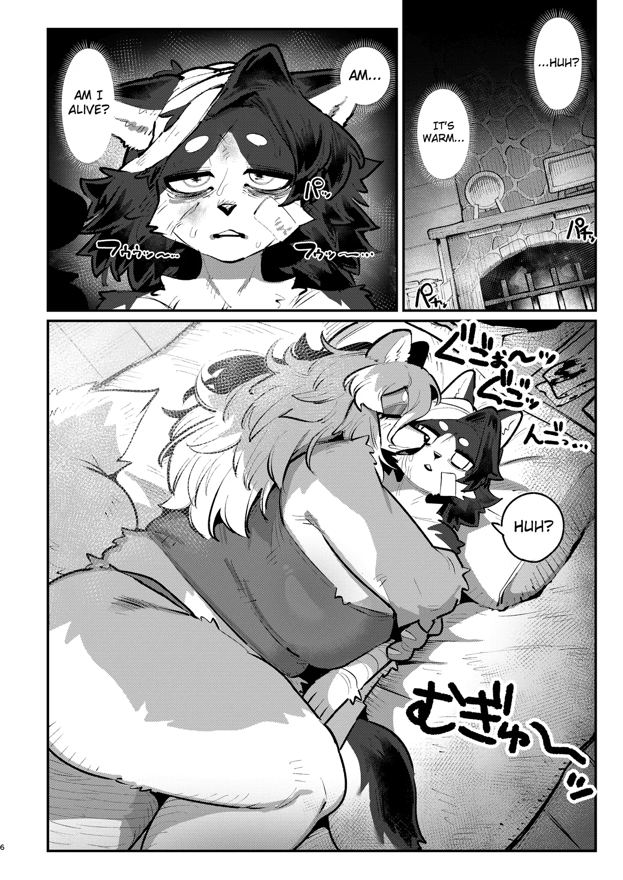 Snow Melting Beneath The Aurora-lit Sky page 5