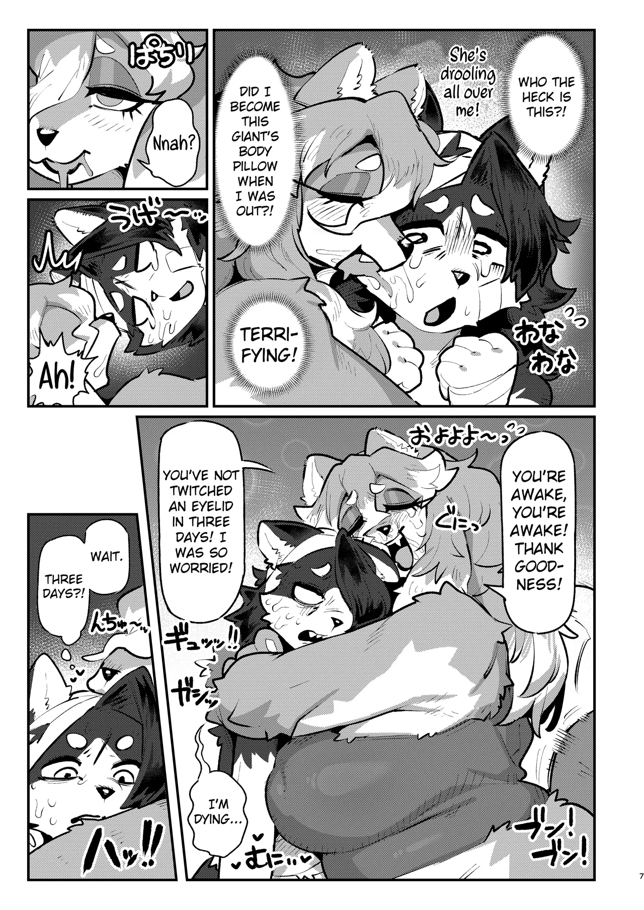 Snow Melting Beneath The Aurora-lit Sky page 6