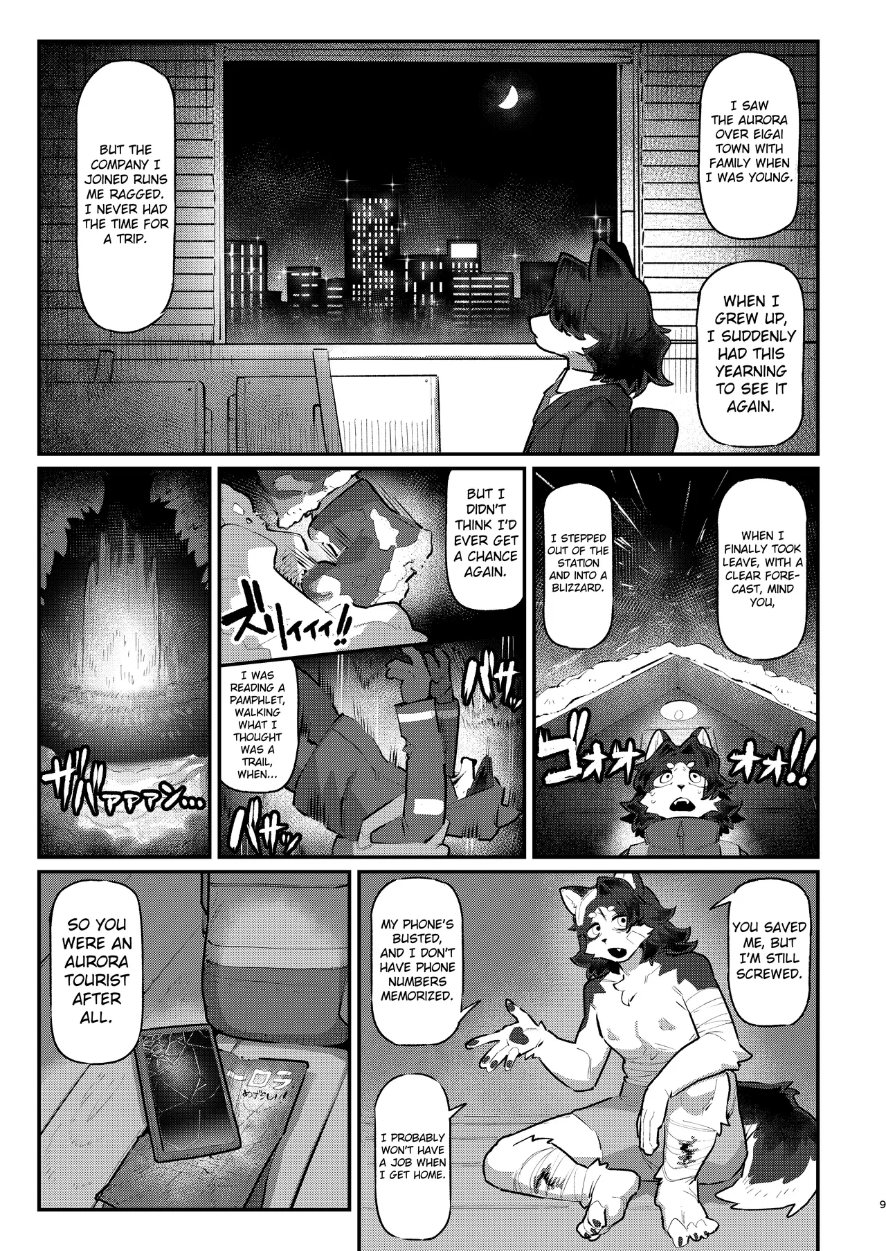 Snow Melting Beneath The Aurora-lit Sky page 8