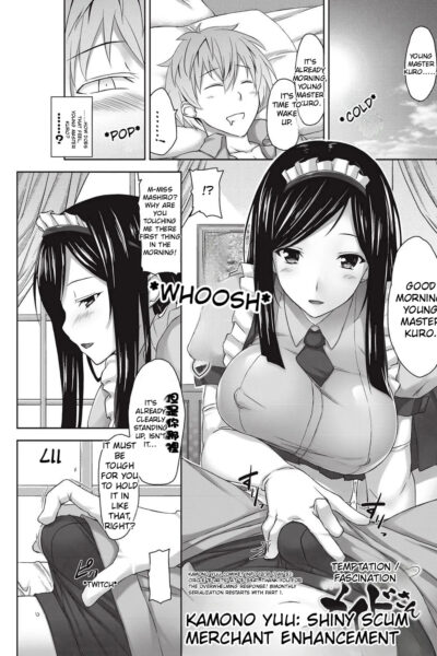 The Alluring And Enchanting Maid page 1