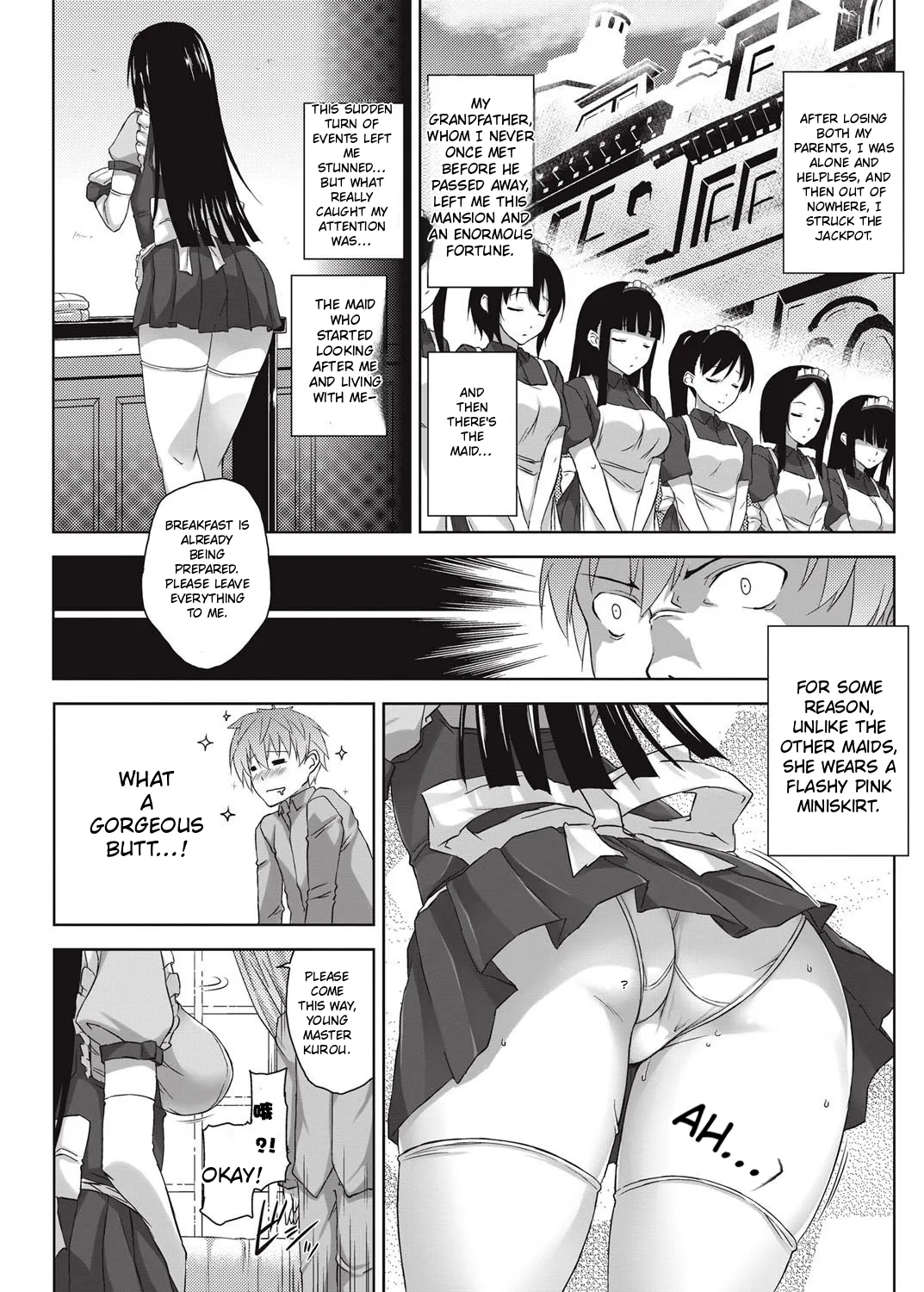 The Alluring And Enchanting Maid page 3
